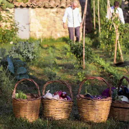 Baglio Occhipinti Farm stay *