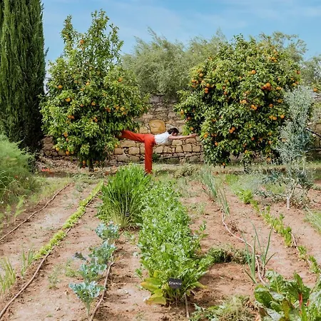 Farm stay Baglio Occhipinti *