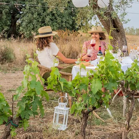 Baglio Occhipinti Farm stay *