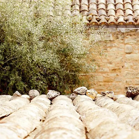Baglio Occhipinti Farm stay Vittoria