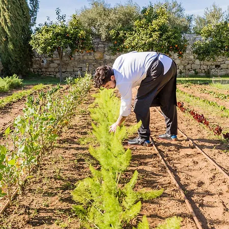 Baglio Occhipinti Farm stay *