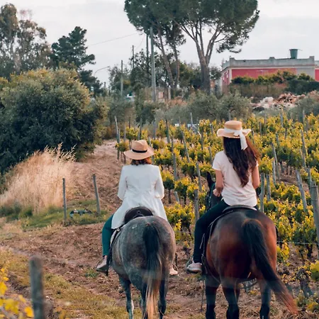 Baglio Occhipinti Farm stay