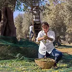Baglio Occhipinti *