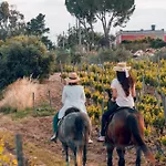 Baglio Occhipinti Vittoria