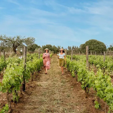 Baglio Occhipinti Farm stay Vittoria